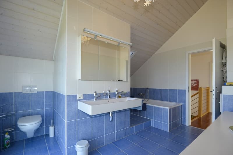Magnifique villa individuelle avec vue panoramique et imprenable sur les Alpes (14)
