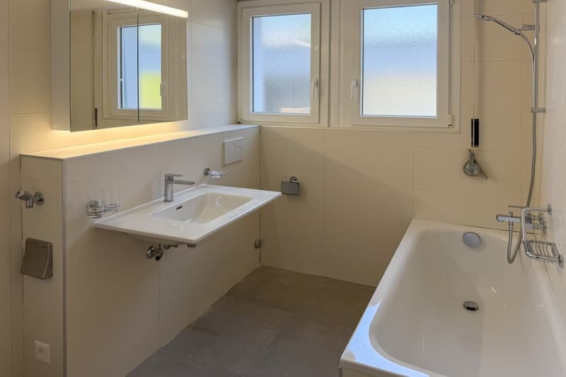 Spacieux appartement de 4.5 pièces de 110 m2 (9)