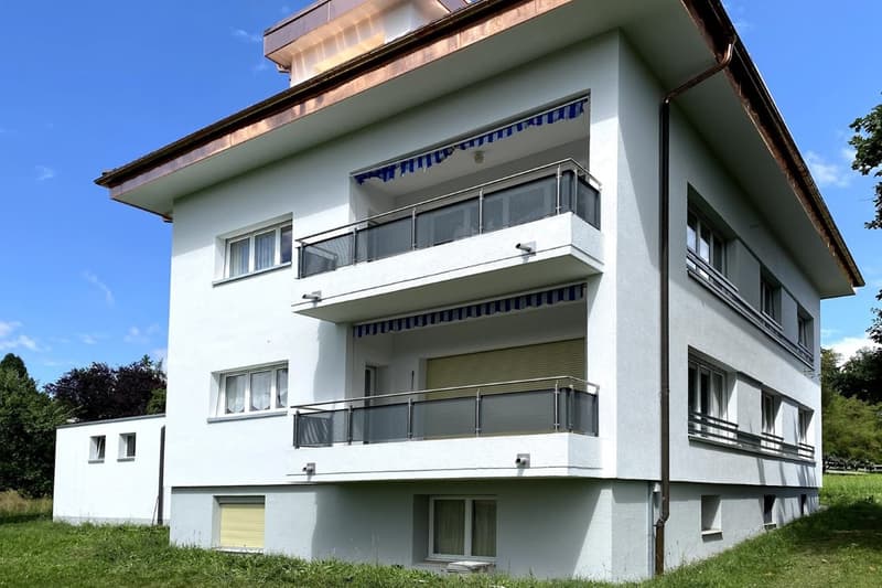 Spacieux appartement de 4.5 pièces de 110 m2 (1)
