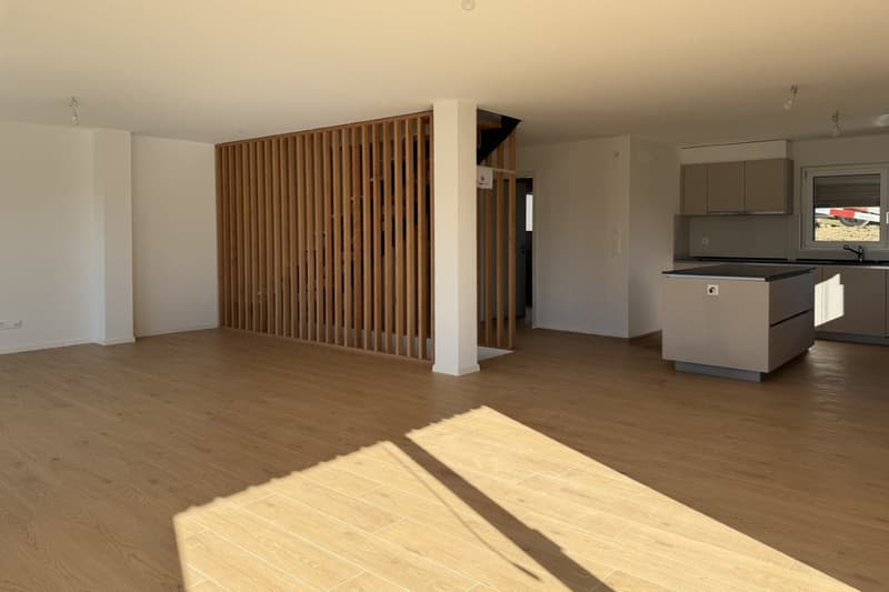 Dernière villa à louer (3)