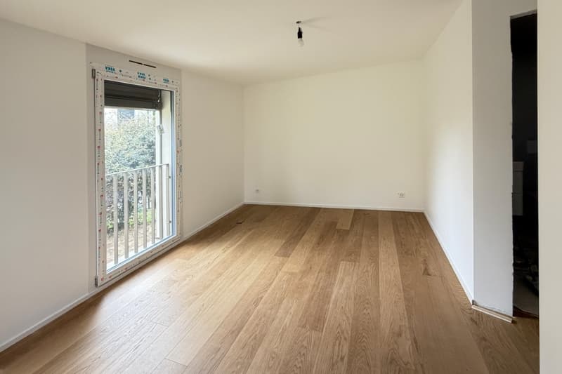 Quatre appartements neufs de 4.5 pièces avec balcon/terrasse ou jardin (8)