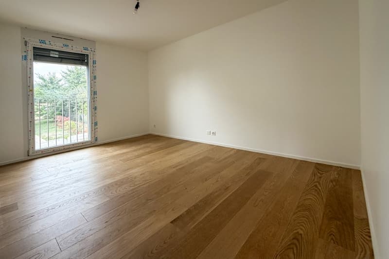 Quatre appartements neufs de 4.5 pièces avec balcon/terrasse ou jardin (7)