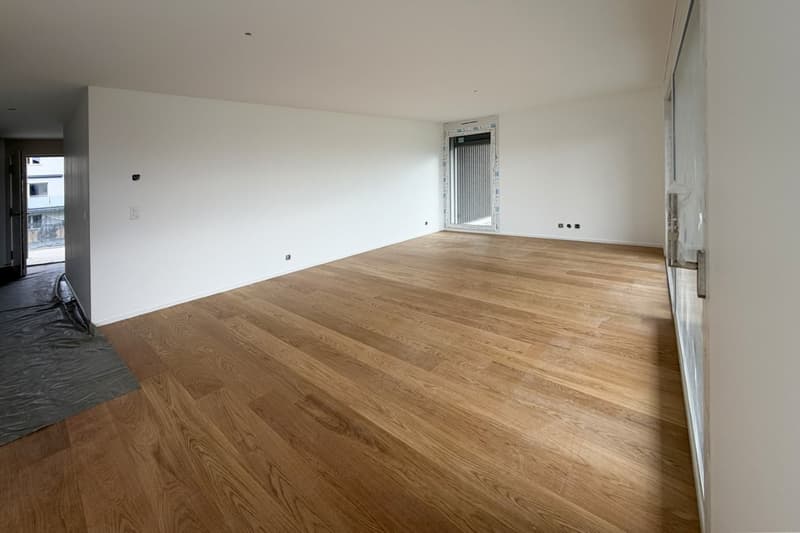 Quatre appartements neufs de 4.5 pièces avec balcon/terrasse ou jardin (6)
