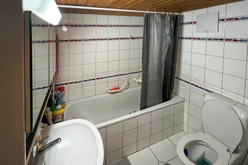 Charmant studio à louer à Mézières VD (4)