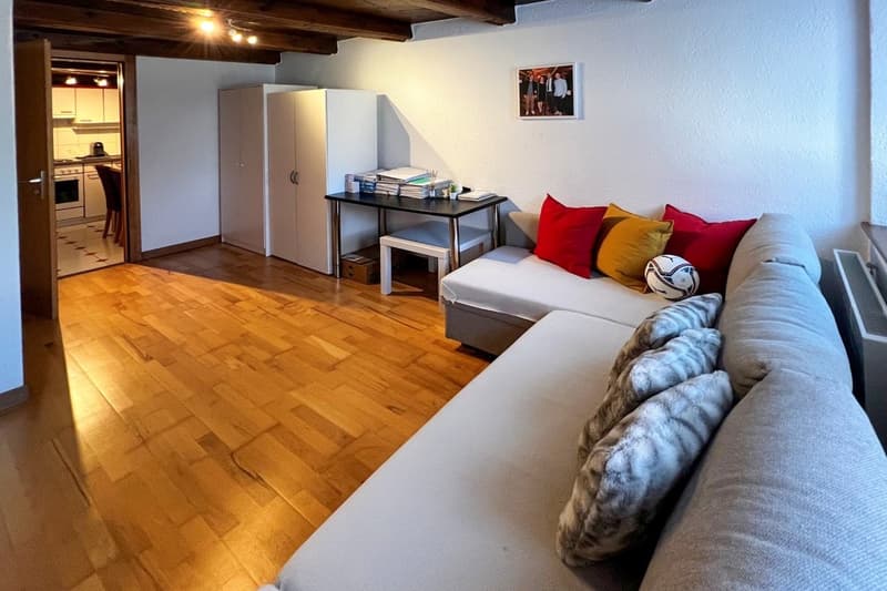 Charmant studio à louer à Mézières VD (6)