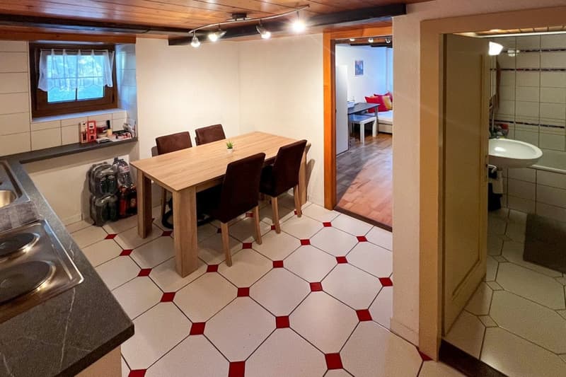 Charmant studio à louer à Mézières VD (3)