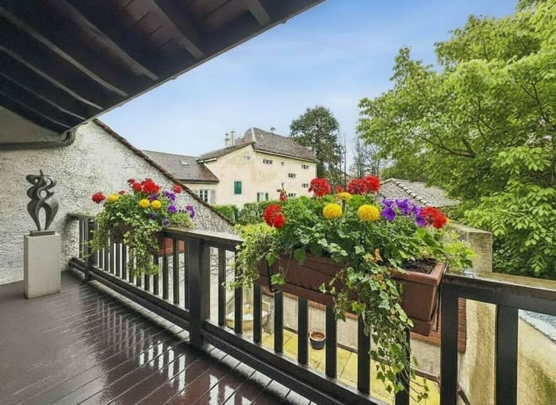 APPARTEMENT EN TRIPLEX DANS UNE BELLE MAISON VIGNERONNE (26)