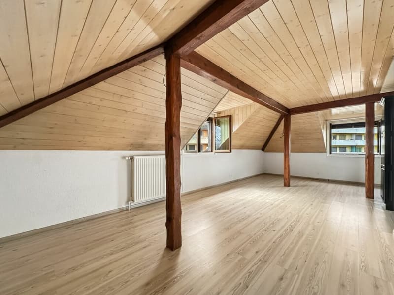IL OCCUPE TOUTE LA TOITURE DE L'IMMEUBLE ?VOTRE COCON SOUS LES TOITS FACE À LA THIELLE (6)