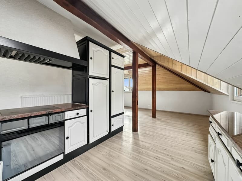 IL OCCUPE TOUTE LA TOITURE DE L'IMMEUBLE ?VOTRE COCON SOUS LES TOITS FACE À LA THIELLE (12)