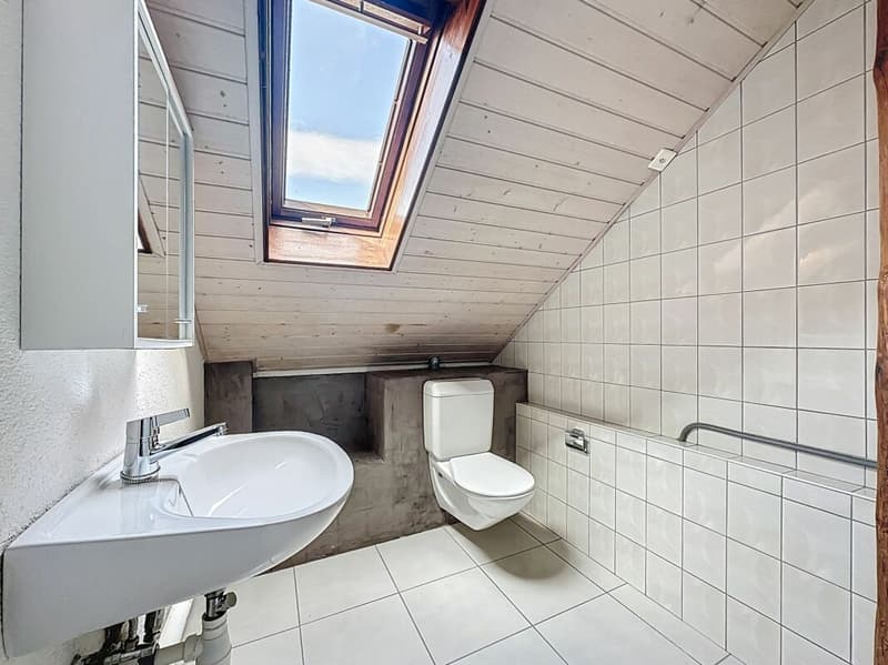 IL OCCUPE TOUTE LA TOITURE DE L'IMMEUBLE ?VOTRE COCON SOUS LES TOITS FACE À LA THIELLE (17)