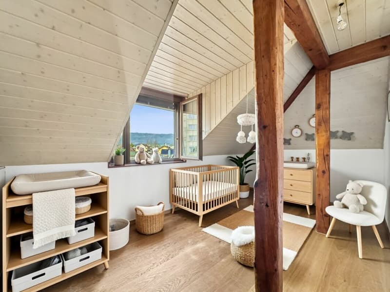 IL OCCUPE TOUTE LA TOITURE DE L'IMMEUBLE ?VOTRE COCON SOUS LES TOITS FACE À LA THIELLE (15)