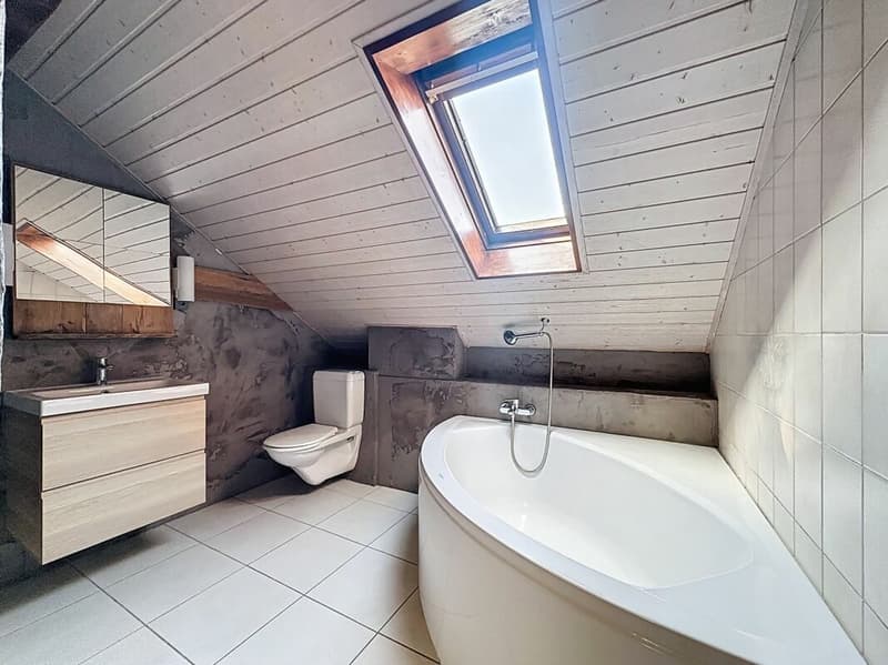 IL OCCUPE TOUTE LA TOITURE DE L'IMMEUBLE ?VOTRE COCON SOUS LES TOITS FACE À LA THIELLE (18)