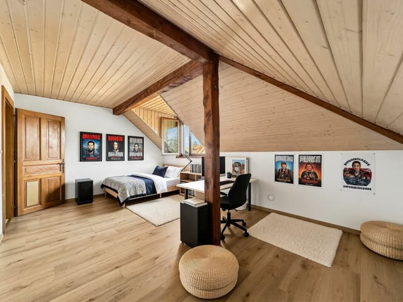 IL OCCUPE TOUTE LA TOITURE DE L'IMMEUBLE ?VOTRE COCON SOUS LES TOITS FACE À LA THIELLE (14)
