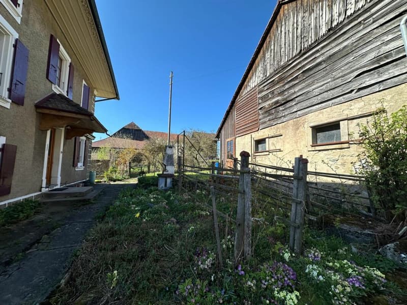 VUE SUPERBE ! BELLE MAISON FAMILIALE AVEC GRAND JARDIN CONSTRUCTIBLE - FONTAINE (7)