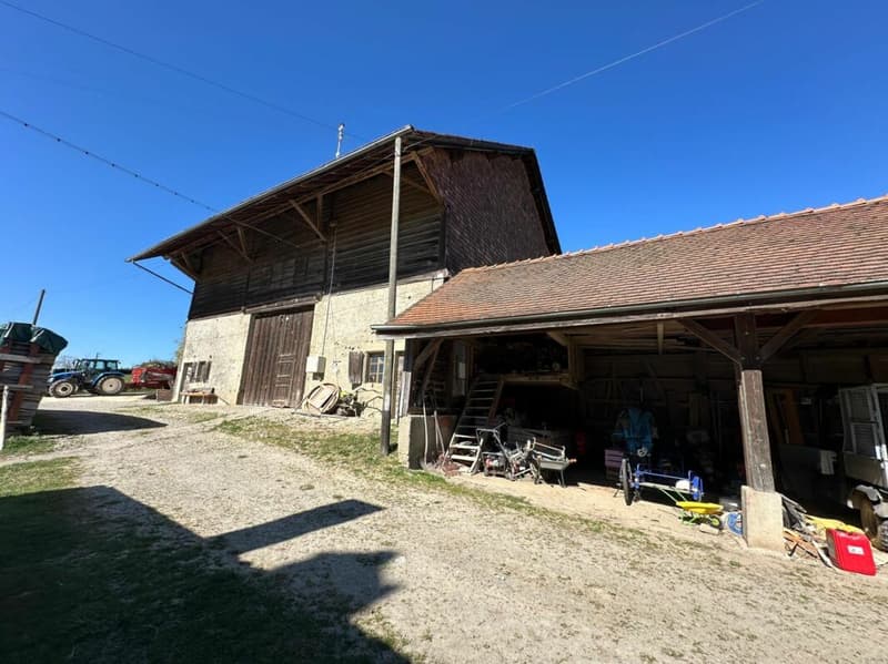 TERRAIN AVEC GRAND RURAL & COUVERT À TRANSFORMER EN HABITATION OU TOUT LE REZ POUR UNE ACTIVITÉ ET VOTRE HABITATION AU REZ SUPÉRIEUR, OU PLUSIEURS FAMILLES ? (7)