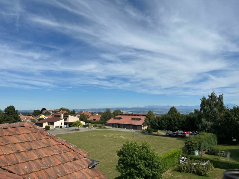 APPARTEMENT EN DUPLEX DE 5 PIÈCES AVEC BALCON ET PLACES DE PARC INTÉRIEURE ET EXTÉRIEURE (21)