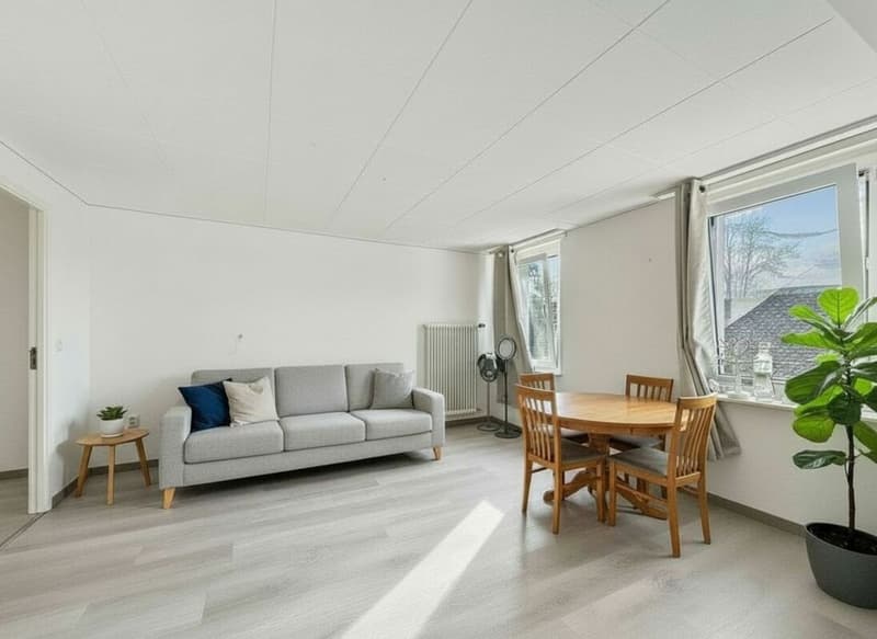 MAISON LOCATIVE DE 5 APPARTEMENTS AVEC ANNEXE INDEPENDANTE (17)