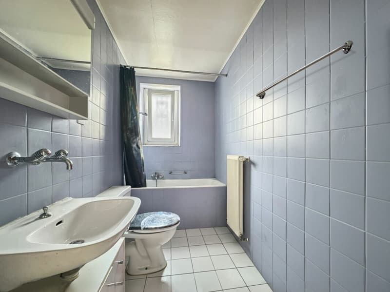 MAISON LOCATIVE DE 5 APPARTEMENTS AVEC ANNEXE INDEPENDANTE (11)