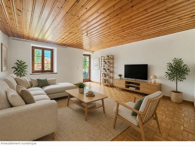 MAISON VILLAGEOISE CONTIGUË DE 2 APPARTEMENTS (5)