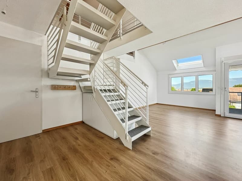 APPARTEMENT EN DUPLEX DE 5,5 PIECES DE 165 M2 AVEC BALCON (4)