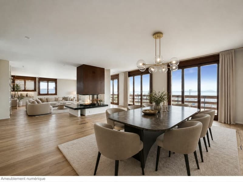 LUXUEUX APPARTEMENT AVEC VUE SUR LE LAC ET TOUT PROCHE DU PORT DE PLAISANCE (4)