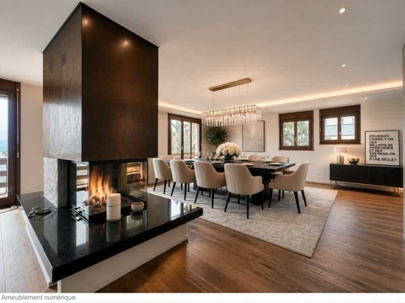 LUXUEUX APPARTEMENT AVEC VUE SUR LE LAC ET TOUT PROCHE DU PORT DE PLAISANCE (2)