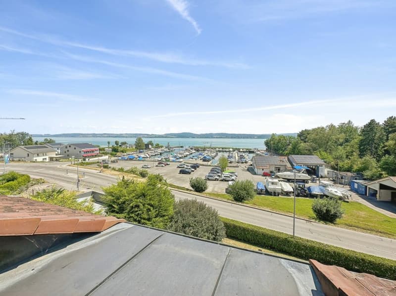 LUXUEUX APPARTEMENT AVEC VUE SUR LE LAC ET TOUT PROCHE DU PORT DE PLAISANCE (14)