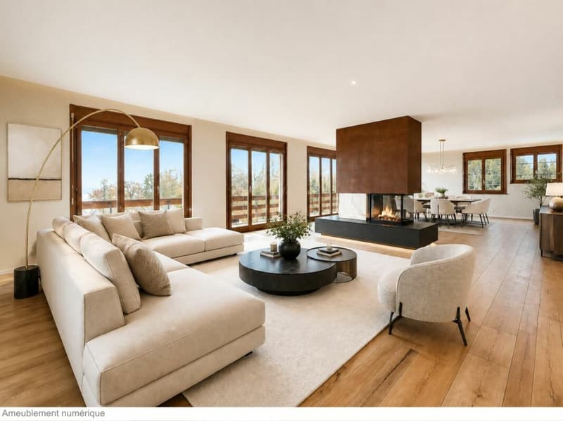 LUXUEUX APPARTEMENT AVEC VUE SUR LE LAC ET TOUT PROCHE DU PORT DE PLAISANCE (3)