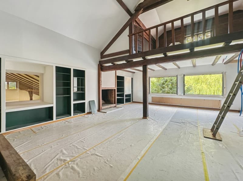 PROPRIETE ATYPIQUE SUR PLUS DE 6'000 M2 EN COURS DE RÉNOVATION, NON SOUMISE A LA LDFR (10)