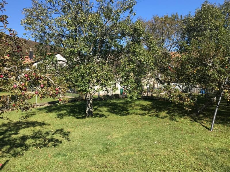 MAISON VILLAGEOISE A TRANSFORMER AVEC PERMIS EN FORCE  POUR UNE VILLA INDIVIDUELLE (2)