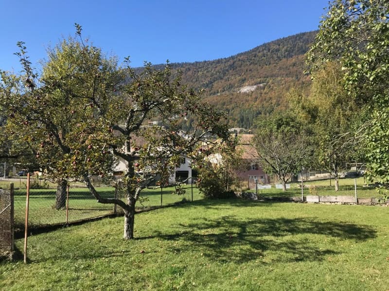 MAISON VILLAGEOISE A TRANSFORMER AVEC PERMIS EN FORCE  POUR UNE VILLA INDIVIDUELLE (4)