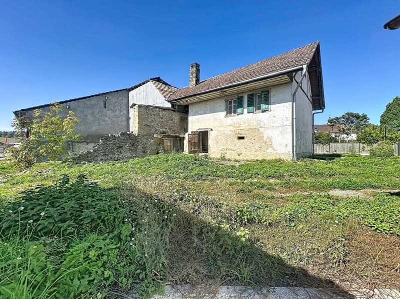 MAISON FRIBOURGEOISE A TRANSFORMER EN 2 APPARTEMENTS AVEC PERMIS DE CONSTRUIRE POUR AGRANDISSEMENT (2)