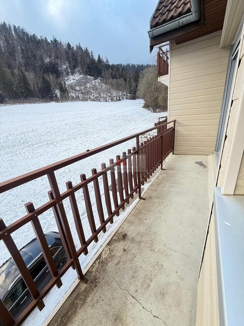 À vendre - Appartement 2.5 pièces - La Ferrière-sous-Jougne (France) (5)