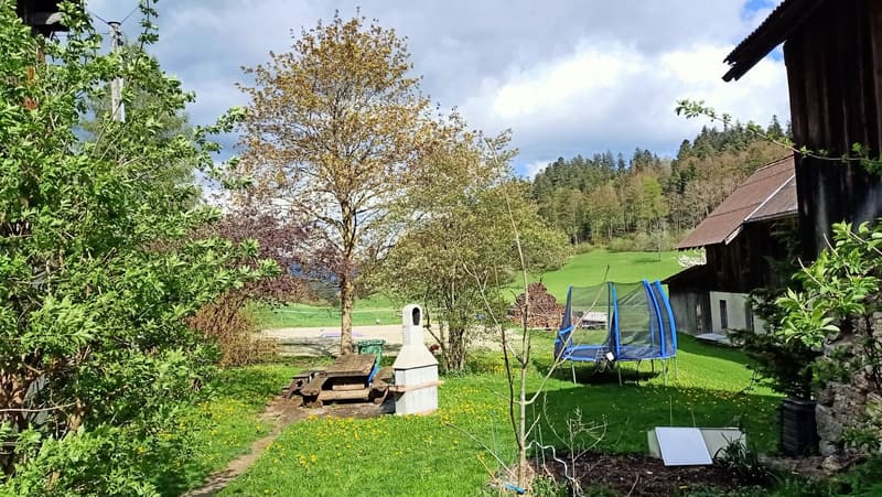 Scenic outdoor area with a grassy lawn, a tree with yellow leaves, a small building with a chimney, and a trampoline in the background. The area is surrounded by lush greenery and trees.