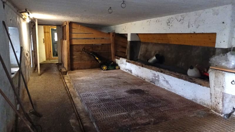 This image shows the interior of a garage or storage space. The space has wooden walls and a concrete floor with a metal grate covering. There is a small lawn mower or similar equipment visible in the corner of the room.