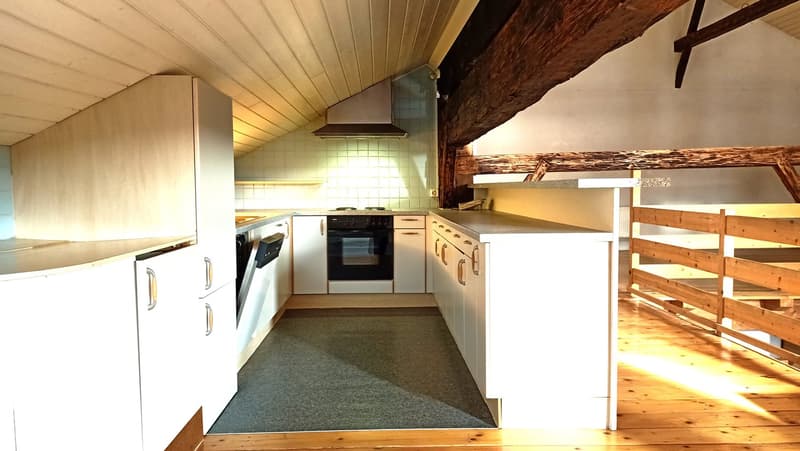 Schönes Bauernhaus mit zwei Wohnungen von 300 m2 und 220 m2 Scheune und Paddock (14)