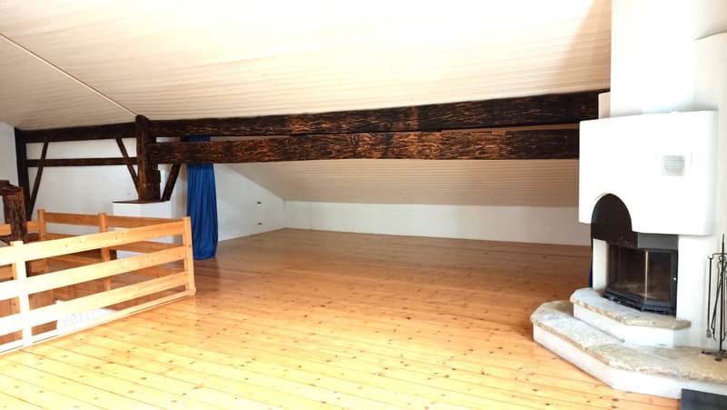 Schönes Bauernhaus mit zwei Wohnungen von 300 m2 und 220 m2 Scheune und Paddock (16)