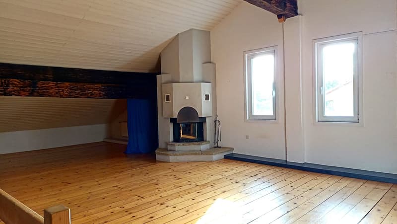 Schönes Bauernhaus mit zwei Wohnungen von 300 m2 und 220 m2 Scheune und Paddock (12)