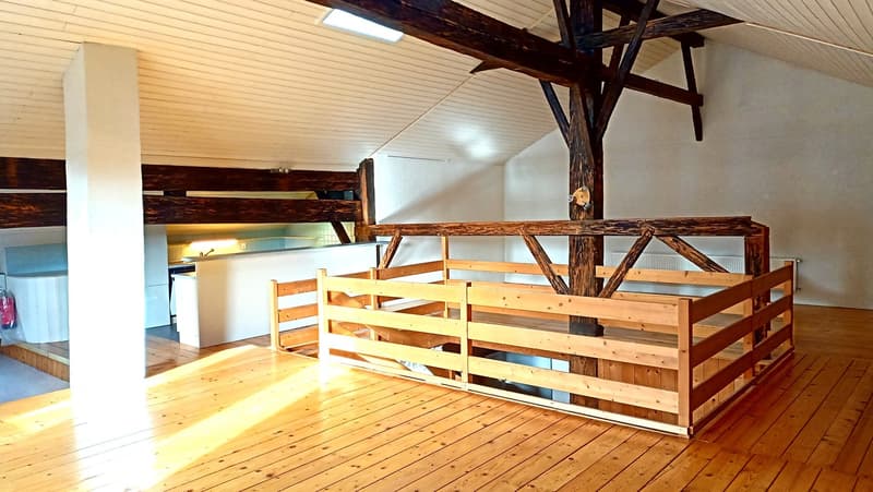 Schönes Bauernhaus mit zwei Wohnungen von 300 m2 und 220 m2 Scheune und Paddock (15)