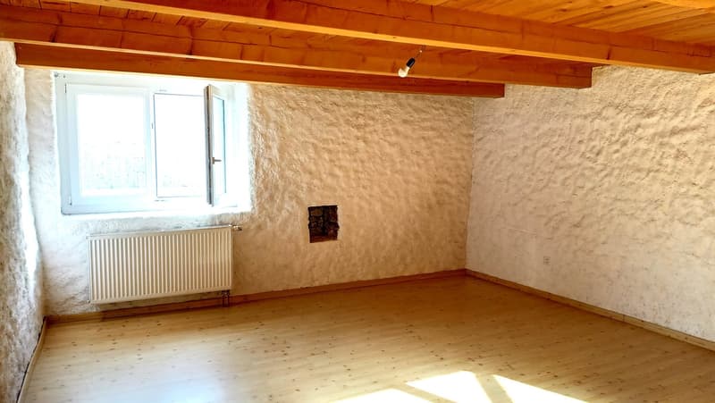 Schönes Bauernhaus mit zwei Wohnungen von 300 m2 und 220 m2 Scheune und Paddock (9)