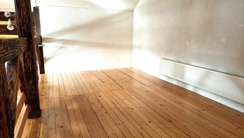 Schönes Bauernhaus mit zwei Wohnungen von 300 m2 und 220 m2 Scheune und Paddock (17)