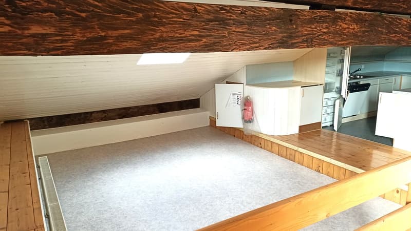 Schönes Bauernhaus mit zwei Wohnungen von 300 m2 und 220 m2 Scheune und Paddock (13)