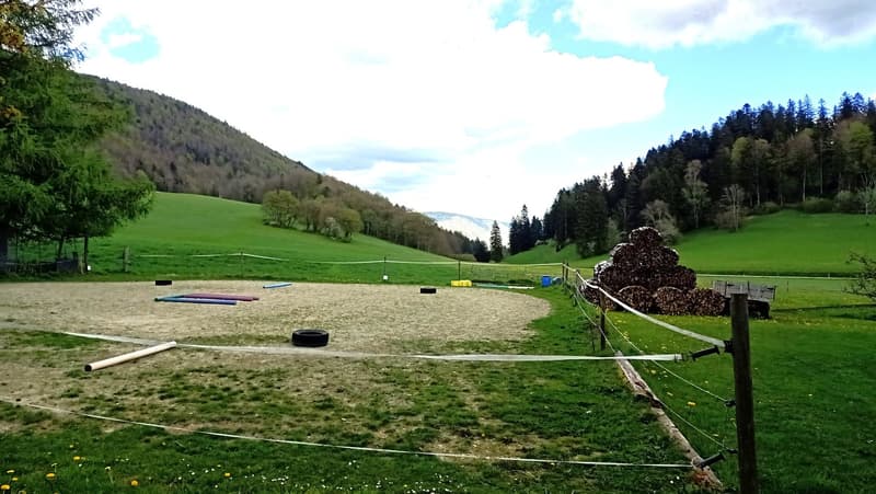 Schönes Bauernhaus mit zwei Wohnungen von 300 m2 und 220 m2 Scheune und Paddock (6)
