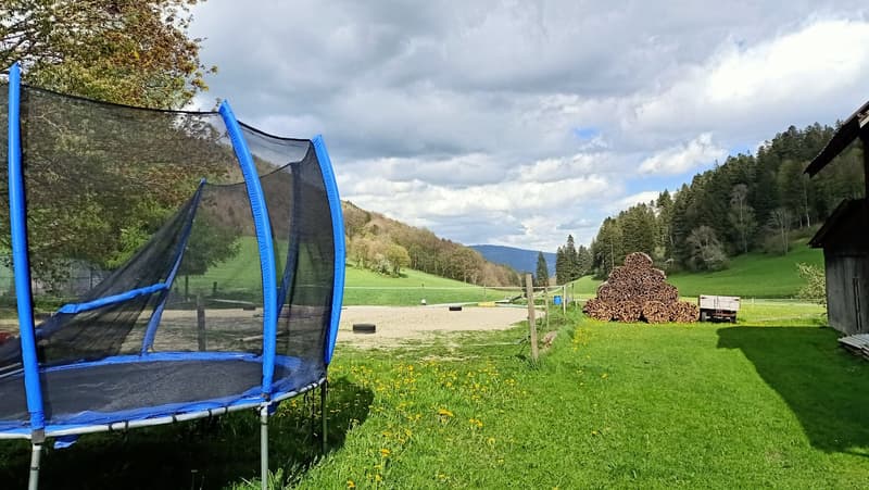 Schönes Bauernhaus mit zwei Wohnungen von 300 m2 und 220 m2 Scheune und Paddock (2)