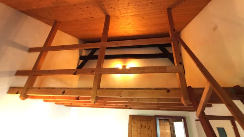 Schönes Bauernhaus mit zwei Wohnungen von 300 m2 und 220 m2 Scheune und Paddock (11)
