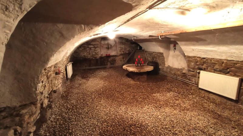 Schönes Bauernhaus mit zwei Wohnungen von 300 m2 und 220 m2 Scheune und Paddock (31)