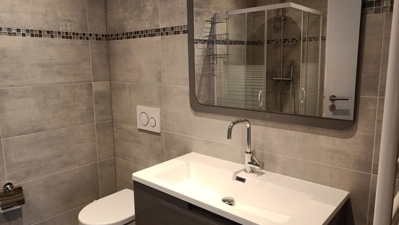 Bathroom with sink, mirror, toilet, and shower enclosure