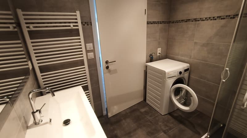 The bathroom features a sink, a washing machine, and a shower area with a glass door. The walls are tiled, and there's a white towel rack on one wall.