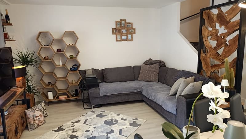 Jolie villa mitoyenne avec 2 terrasses et jardin (8)