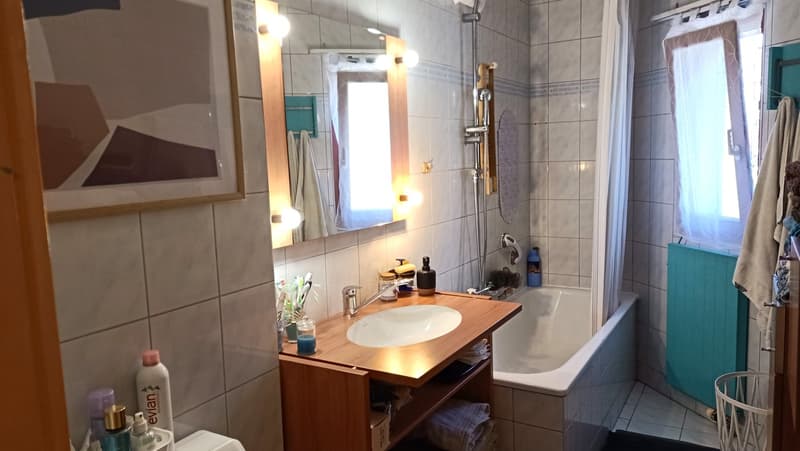 Jolie villa mitoyenne avec 2 terrasses et jardin (15)
